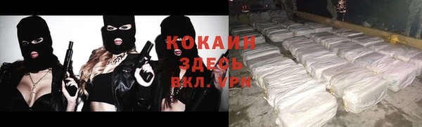 крисы Абдулино