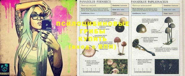 ешки Абинск