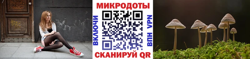 MEGA ссылки сайты даркнета состав Галлюциногенные грибы MAGIC MUSHROOMS Тотьма